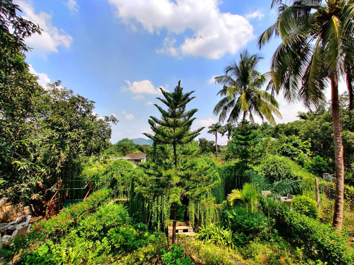 Hotel Anil Farmhouse Gir Jungle Resort Sasan Gir Buitenkant foto