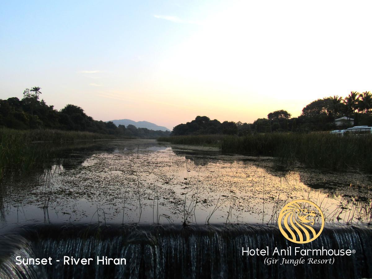 Hotel Anil Farmhouse Gir Jungle Resort Sasan Gir Buitenkant foto