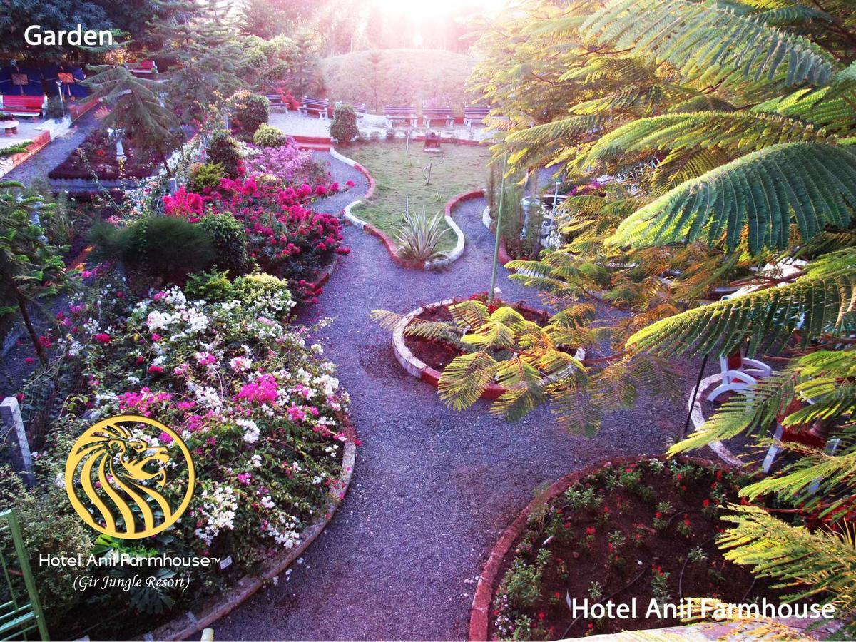 Hotel Anil Farmhouse Gir Jungle Resort Sasan Gir Buitenkant foto